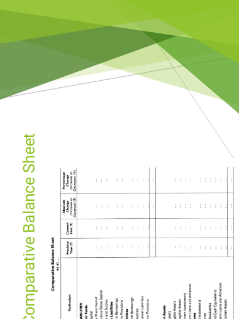 Accounts Project Bs | PDF | Income Statement | Revenue