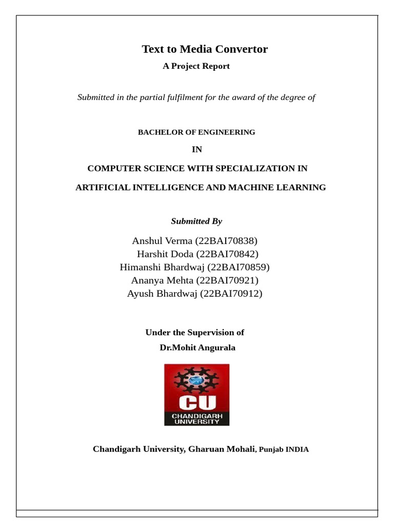Report BeforeFinal | PDF | Software Testing | Multimedia