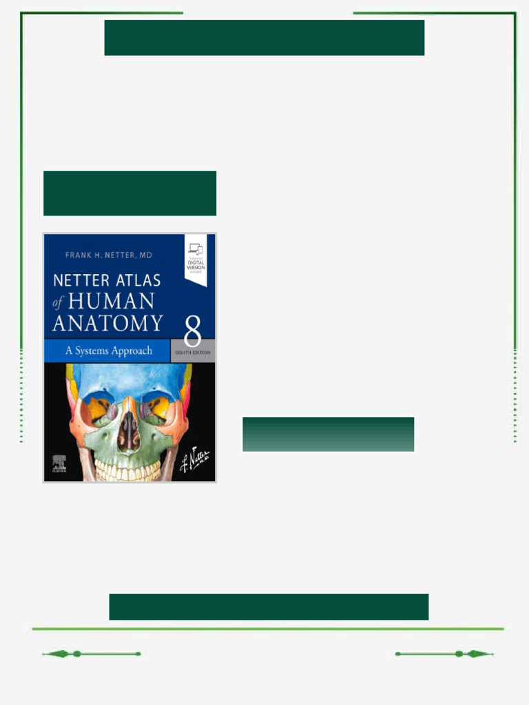 Netter Atlas of Human Anatomy 8th edition by Frank Netter ISBN ...