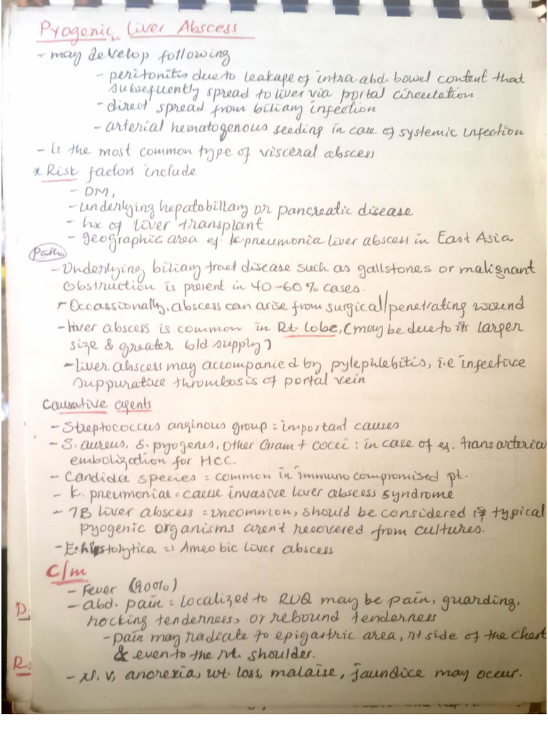 Liver Abscess | PDF