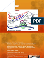 Sintesis Protein