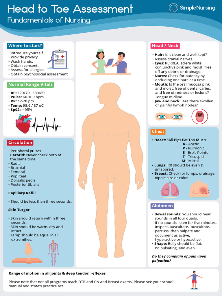 Comprehensive Head to Toe Assessment Guide | PDF | Pulse ...