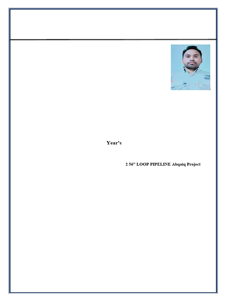 Mohammad Azad CV: Job Performer Profile | PDF
