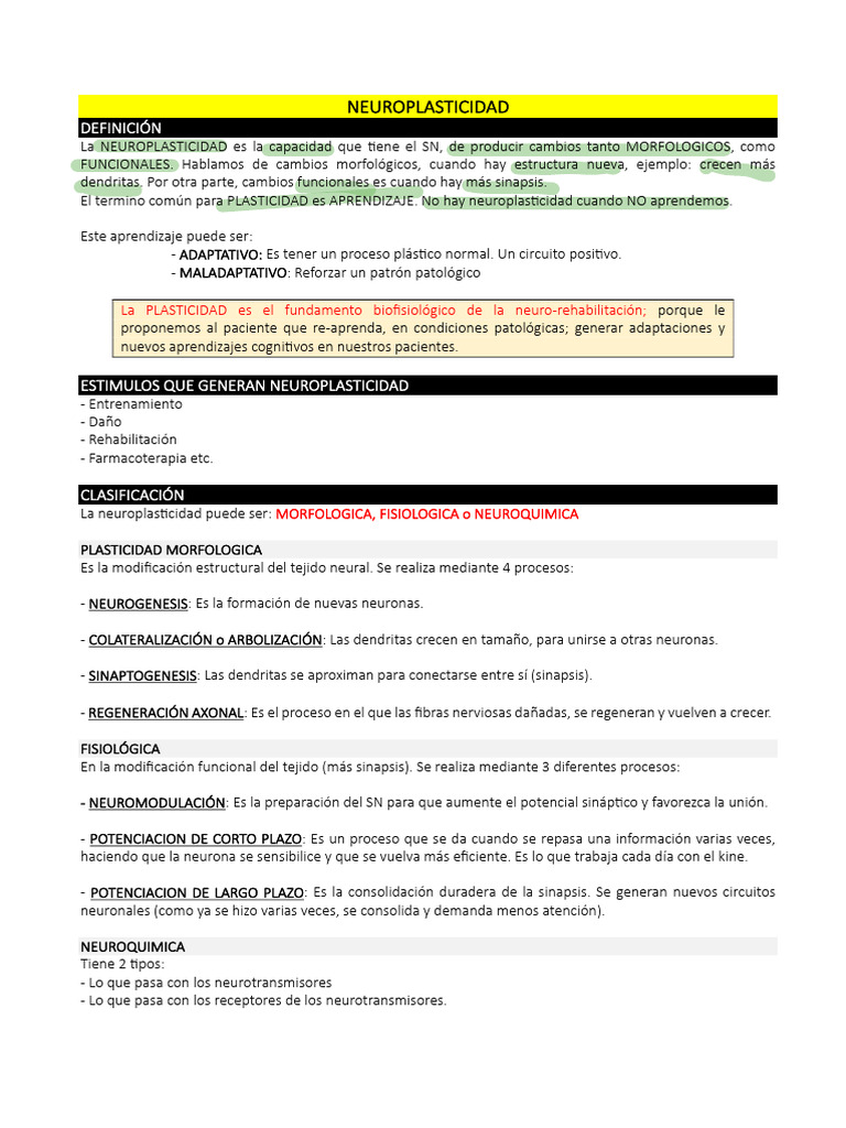 Apunte Final de Neuro PDF | PDF | Neuroplasticidad | Percepción