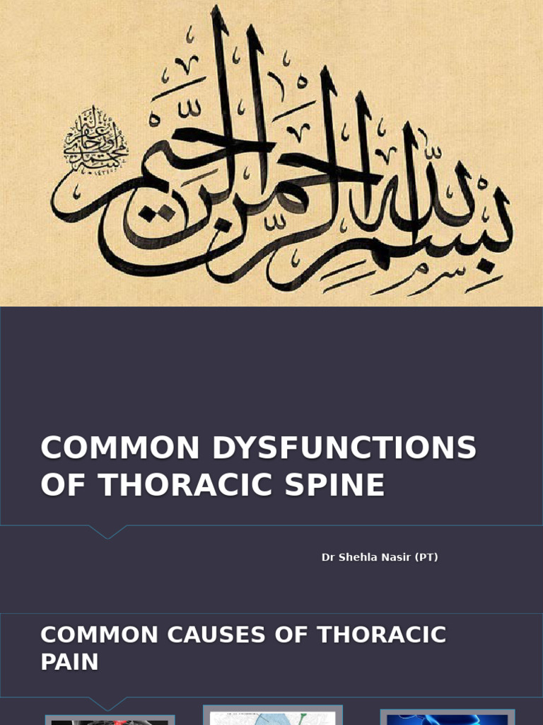 Thoracic Spine Dysfunction Causes & Treatments | PDF | Thorax | Vertebra
