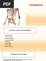 Labeled Humerus Anatomy Diagram | PDF | Limbs (Anatomy ...