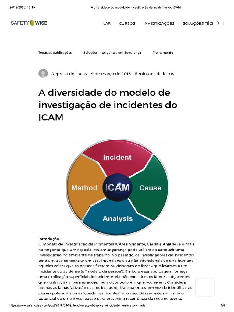 Diversidade Do Modelo ICAM | PDF