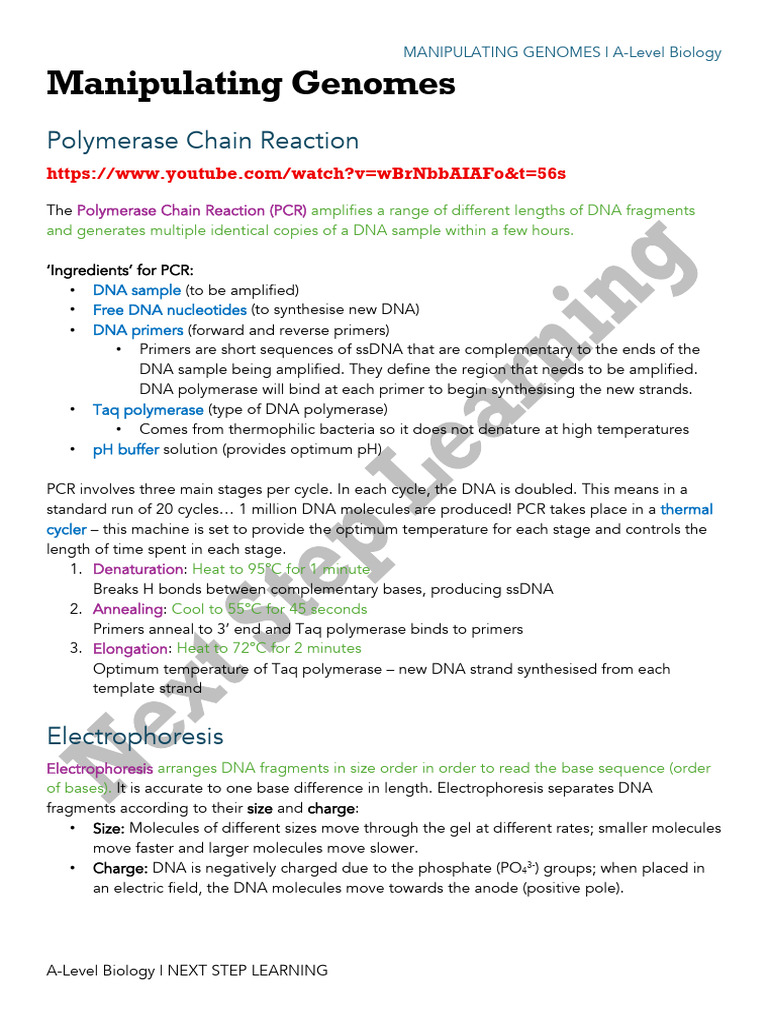 PCR and DNA Techniques in Biology | PDF | Gel Electrophoresis | Genetic ...