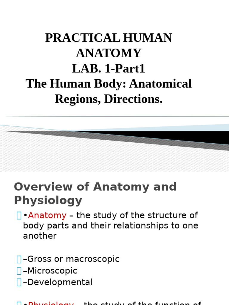 Practical Human Anatomy LAB. 1-Part1 The Human Body: Anatomical Regions ...