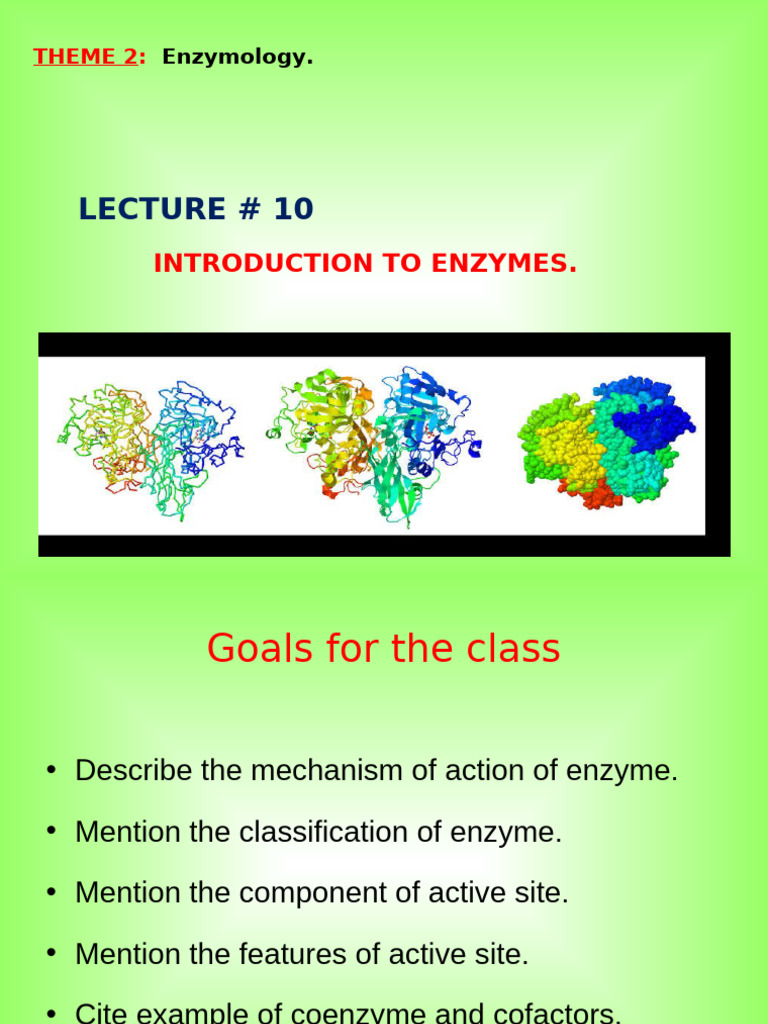 L10 . Enzyme 1 | PDF | Active Site | Enzyme