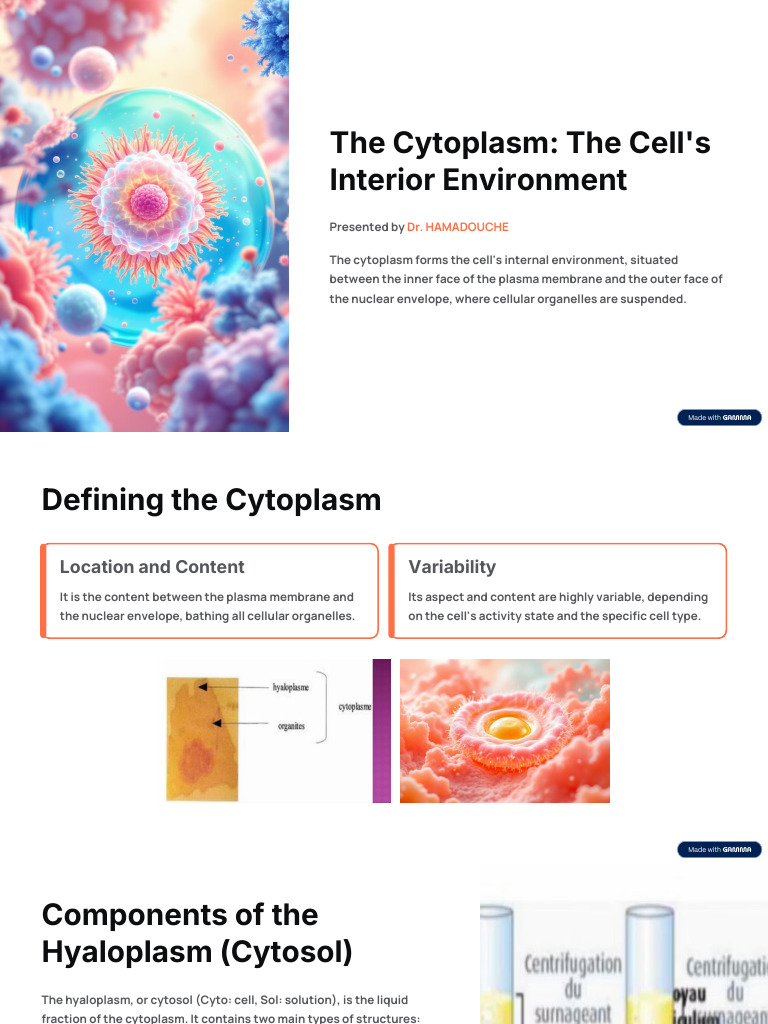 8-hyalopsm | PDF | Cytosol | Cytoplasm