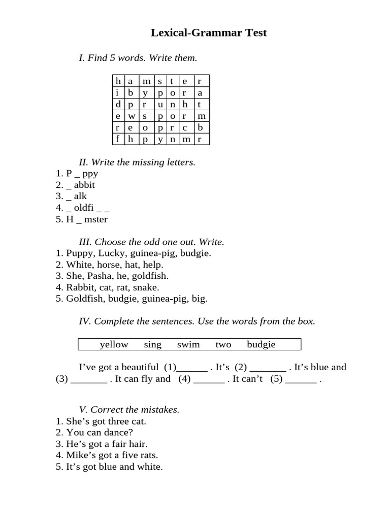 Lexical-Grammar Test for Kids | PDF