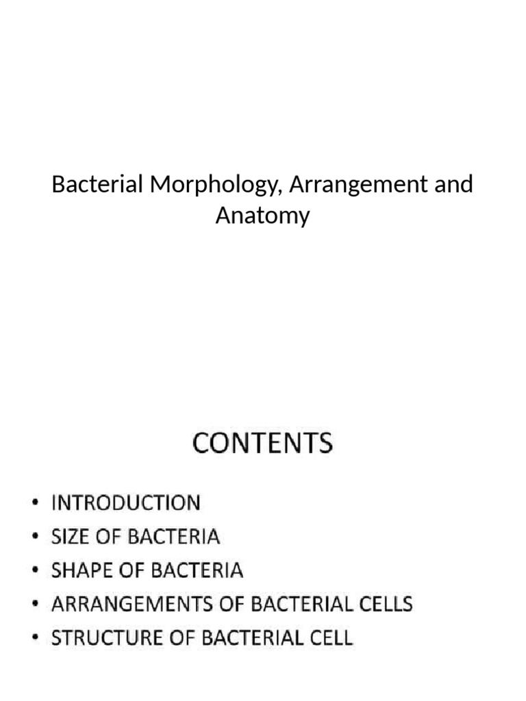Bacterial Morphology, Arrangement and Anatomy | PDF
