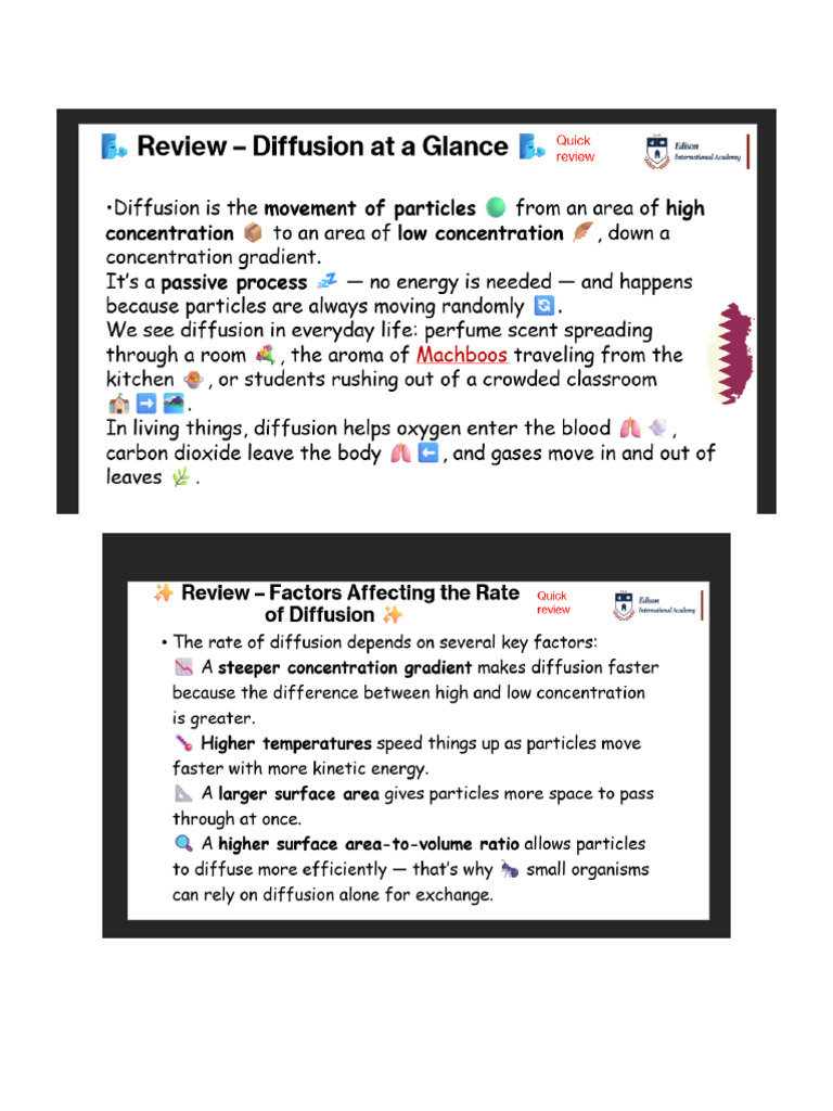 Diffusion Review | PDF