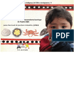 Niños y Niñas de Los Pueblos Indigenas de Chile e Inmigrantes. Sebastián, Un Niño Descendiente Kawésqar. en Puerto Edén