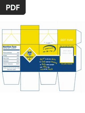 Milk Carton Favor Box