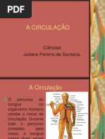 A CIRCULAÇÃO