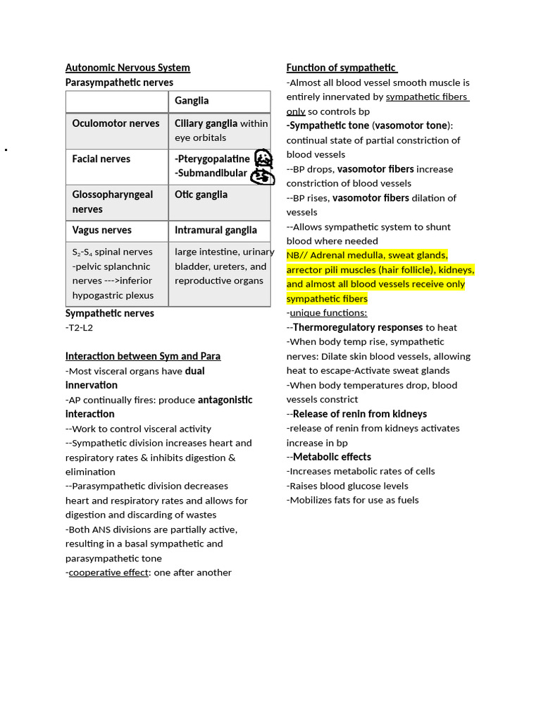 Autonomic Nervous System | PDF | Motor Neuron | Autonomic Nervous System