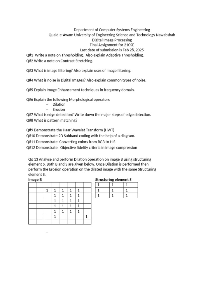 Digital Image Processing Assignment Guide | PDF