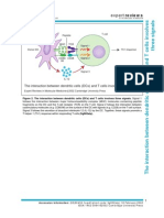 Dendric Cell