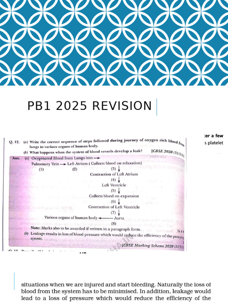Pb1 Revision 2025 | PDF | Zygosity | Sex