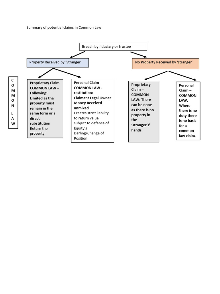 Common Law Claims Overview | PDF