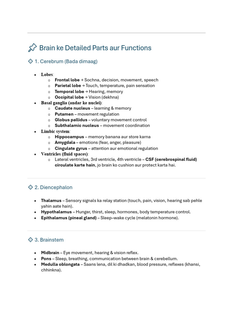 Brain Parts and Functions Explained | PDF