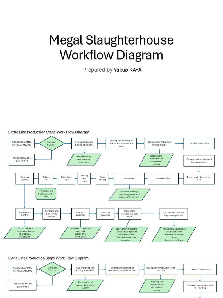 Megal Slaughterhouse Workflow Diagram | PDF | Animal Slaughter | Food ...