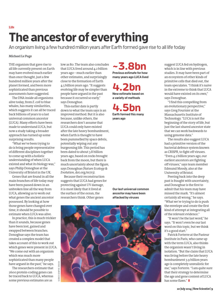 LUCA: Earth's First Life Form Timeline | PDF | Organisms | Evolution