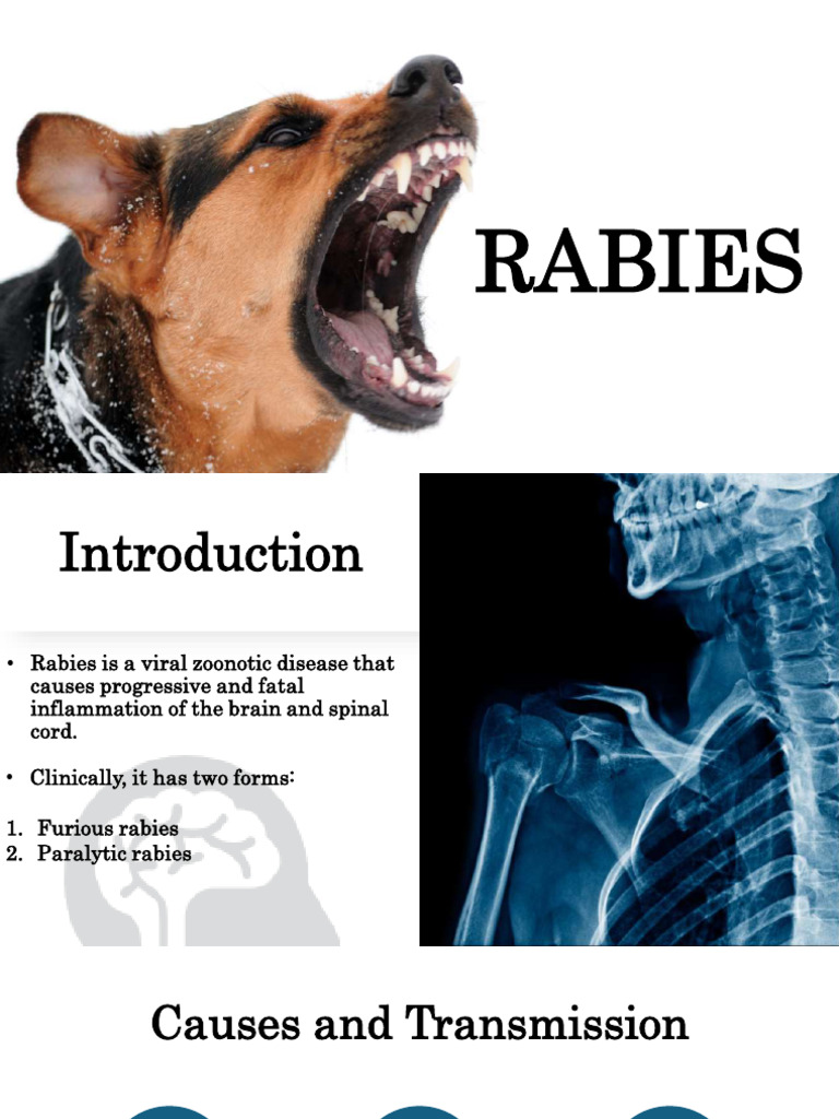 PPT - Assessments of Vaccination Status of Pet Dogs and Cats and Owner ...