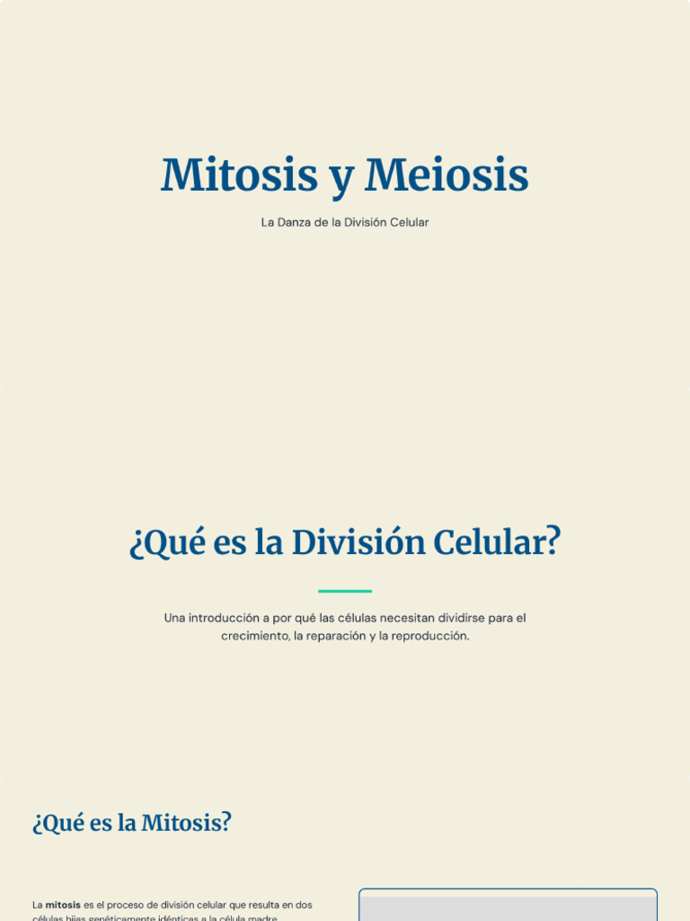 Mitosis y Meiosis | PDF
