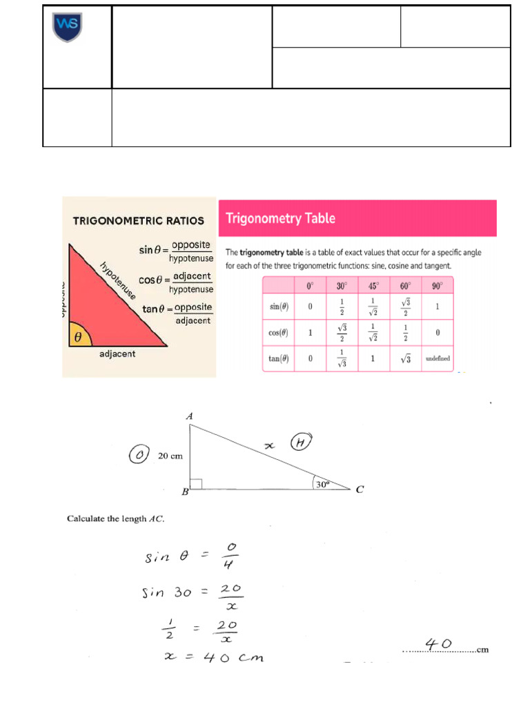 Trigonometric Ratios and Geometry Worksheet | PDF | Trigonometry ...