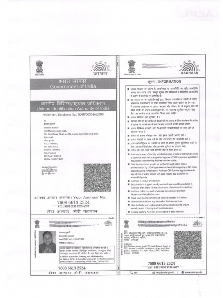 Goverment | PDF