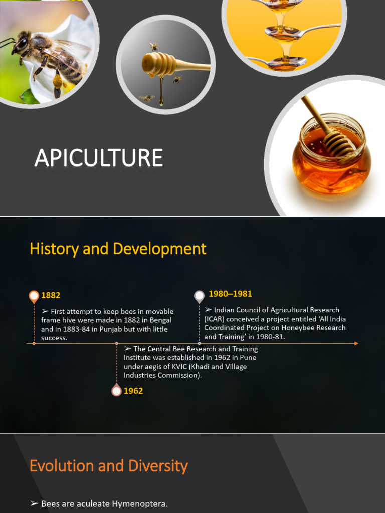 A Pi Culture | PDF | Honey Bee | Pollination