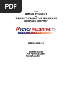 Grand Project: "Product Stratagy of Private Life Insurance Company''