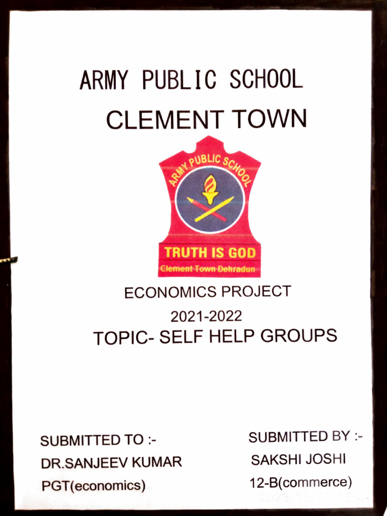 Economics Project on Self Help Groups | PDF