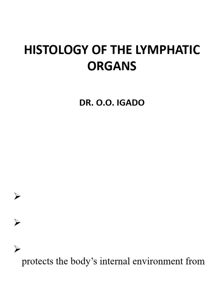 Lymphatic Organs Histology Overview | PDF | Lymph Node | Lymphatic System