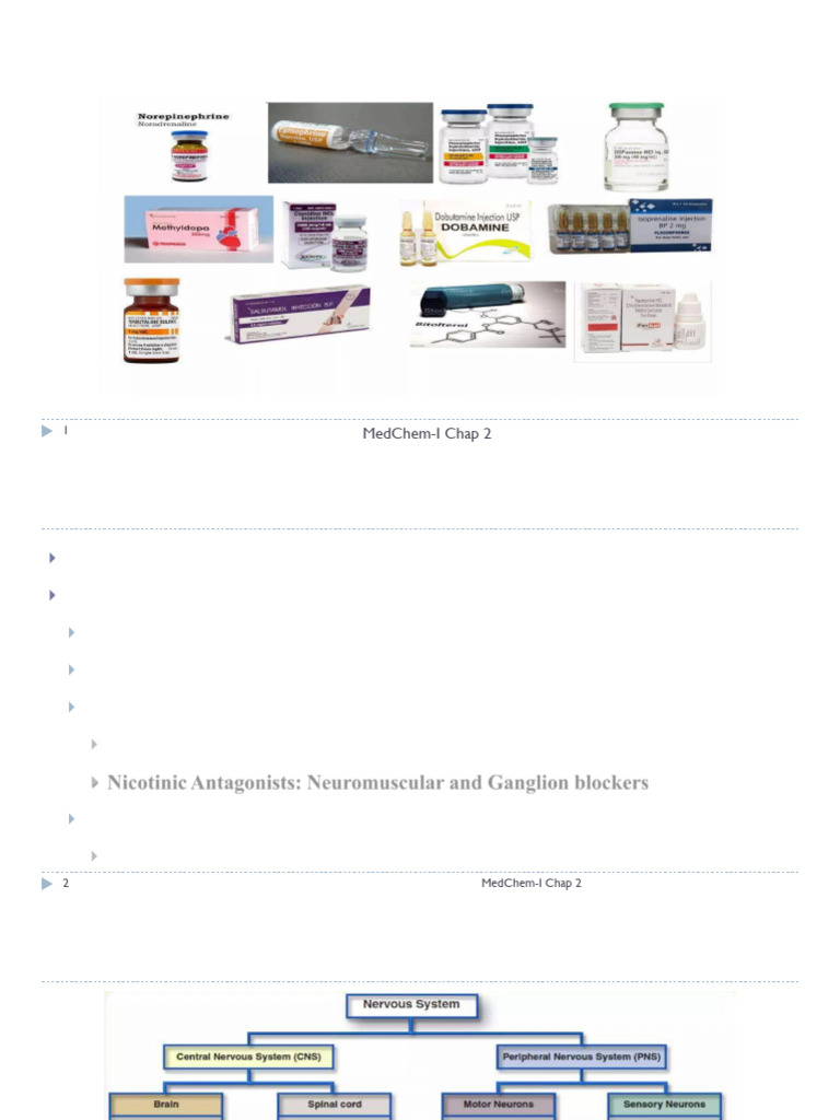2 Autonomic Drugs Medchem I (Part I&II) | PDF | Acetylcholine ...
