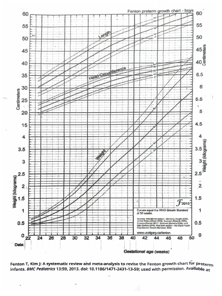 Graf Paper in Nicu | PDF