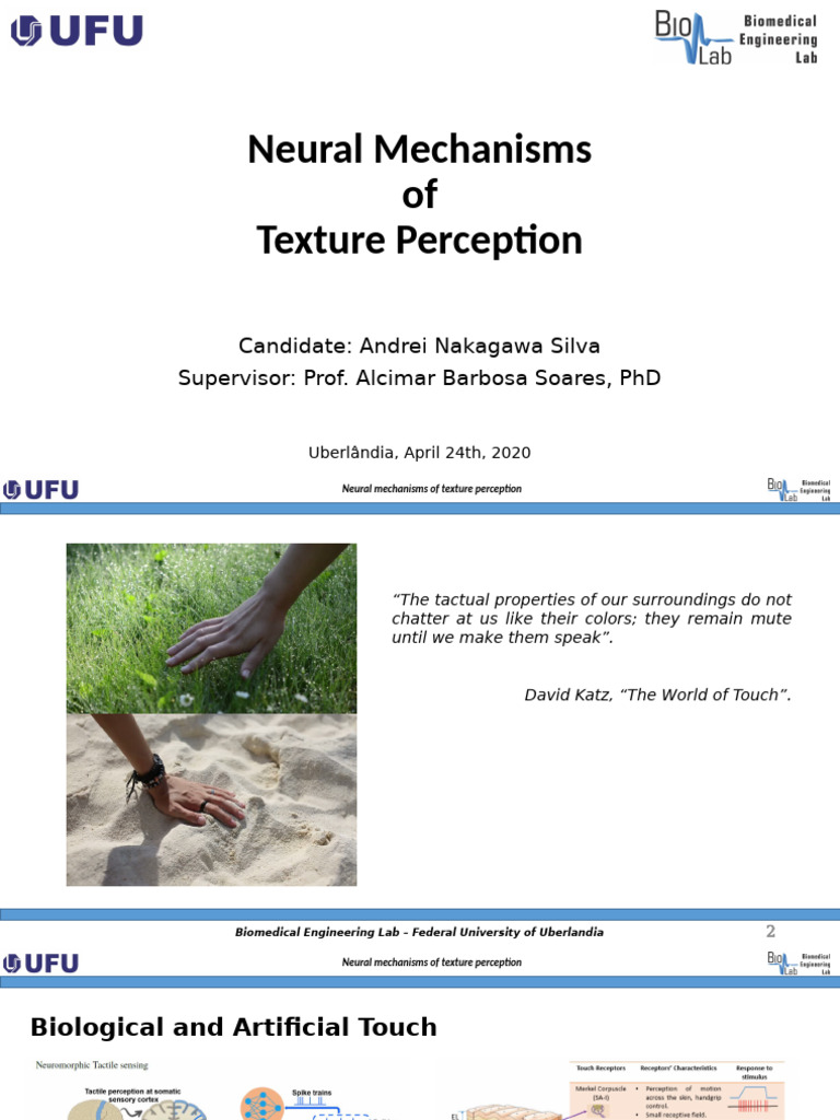 Neural Mechanisms of Texture Perception | PDF | Perception ...