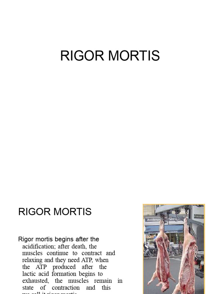 Rigor Mortis | PDF | Adenosine Triphosphate | Skeletal Muscle
