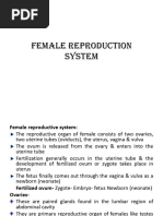 Rabbit Female Reproductive Anatomy | PDF | Wellness | Science & Mathematics