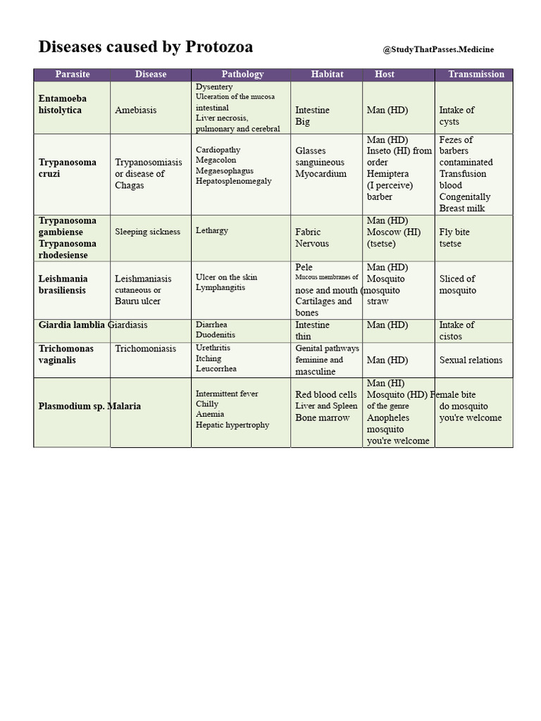 Diseases Caused by Protozoa | PDF | Medical Specialties | Microbiology
