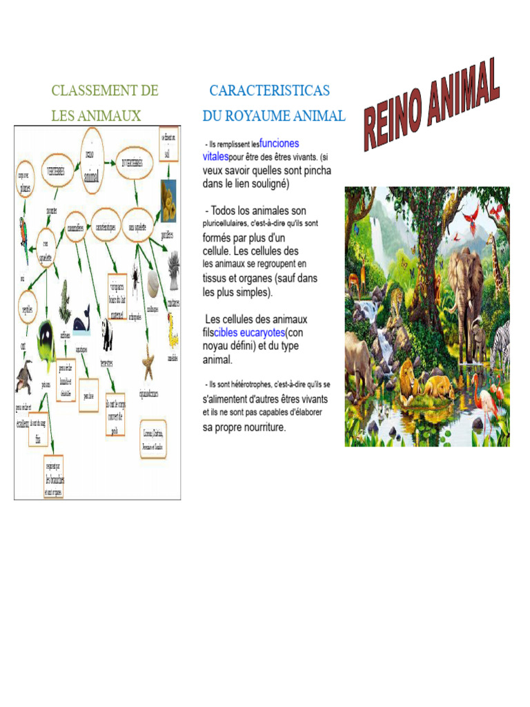 Classification et caractéristiques des animaux | PDF | Biologie ...