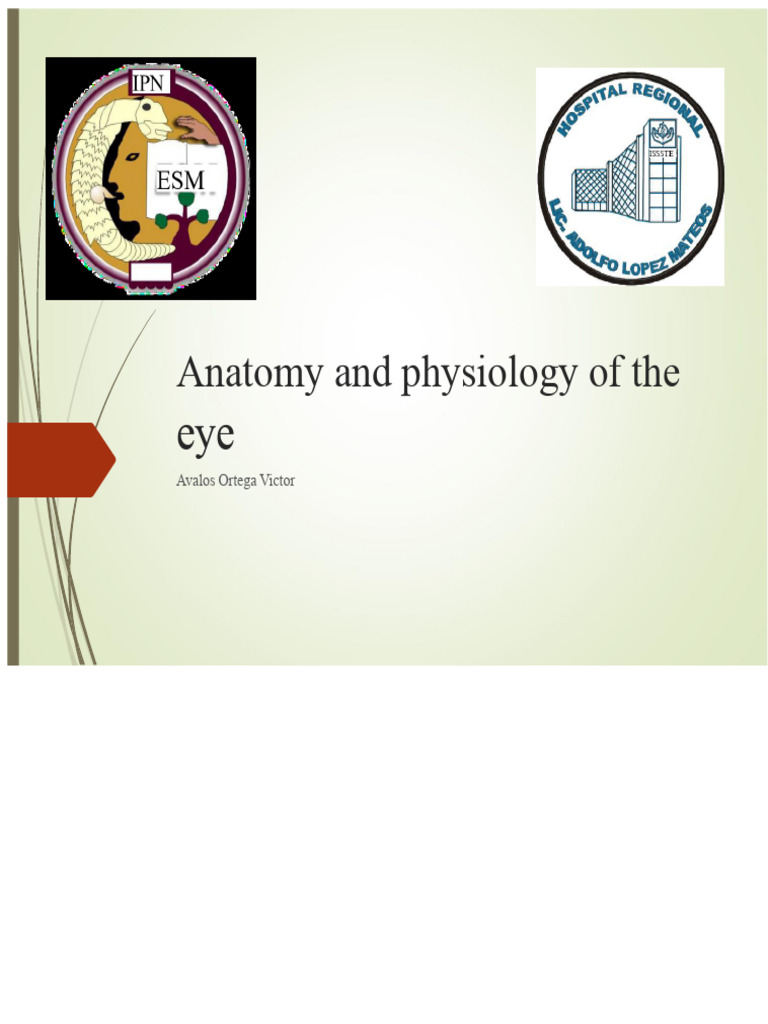 Presentation Anatomy and Physiology of the Eye | PDF | Human Eye | Eye
