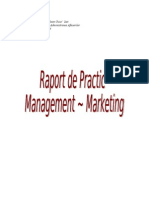 Raport de Practica Management-Marketing