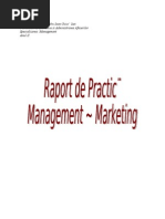 Raport de Practica Management-Marketing