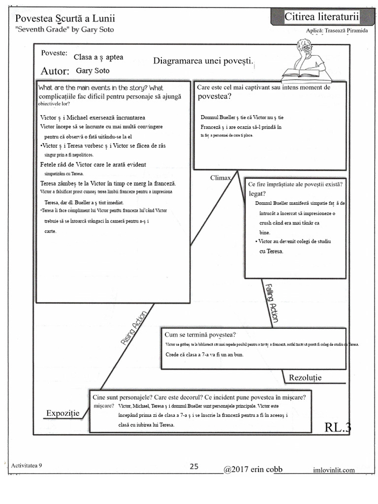 Kami Export - Diagrama de Plot Pentru Clasa A VII-a - 1 | PDF