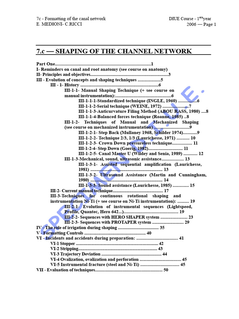 Canal Network Formatting Techniques | PDF