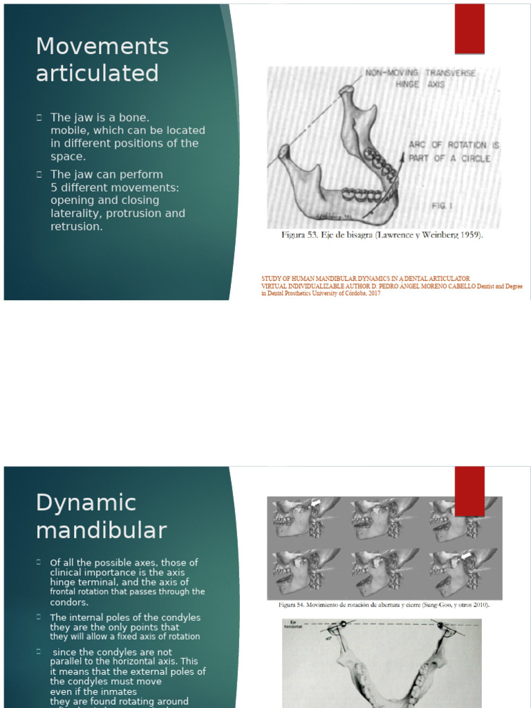 Mandibular Dynamics | PDF | Dentistry